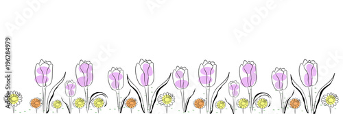 Vector floral background with tulips and daisies © Алиса Ергина