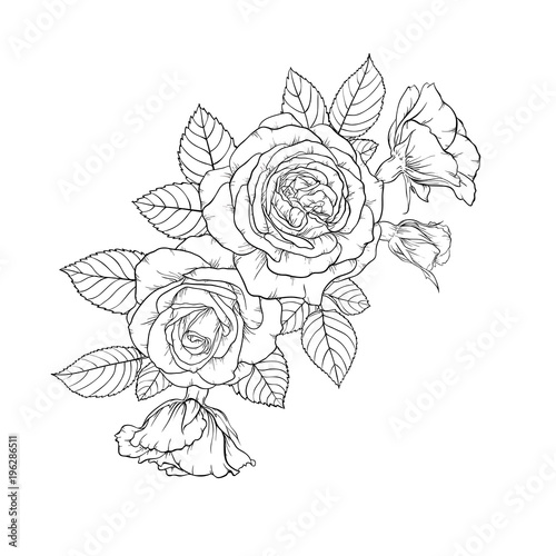 beautiful black and white bouquet rose and leaves. Floral arrangement isolated on background. design greeting card and invitation of the wedding  birthday  Valentine s Day  mother s day  holiday