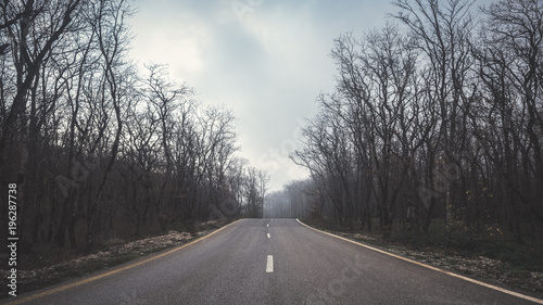Road between the trees, bare autumn forest