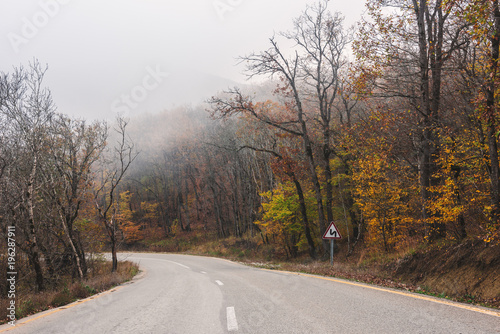 Road between the trees, bare autumn forest