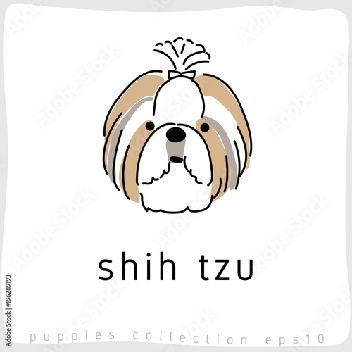 Fényképezés Dog Breed Collection : Vector Illustration