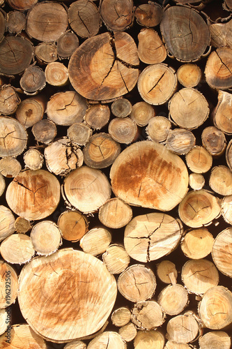 Pile of chopped wood