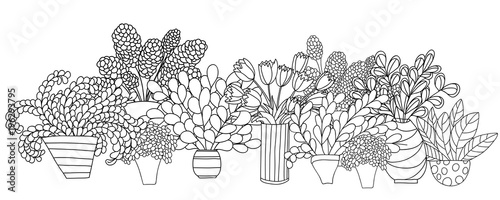 Horizontal composition with contour cartoon plants and flowers in pots and vases.