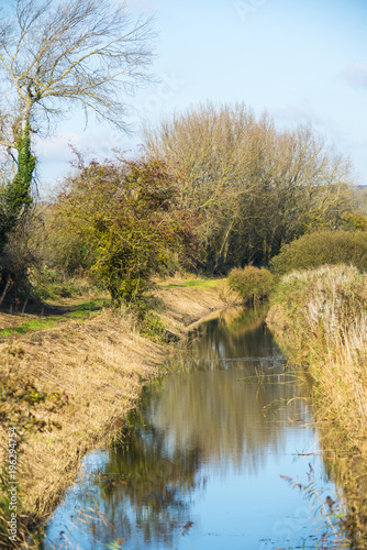 Reed bed clerance in Combe Valley near Bexhill, East Sussex, England photo