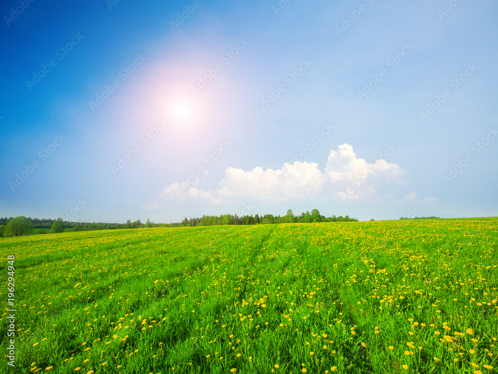 Green field under blue cloudy sky