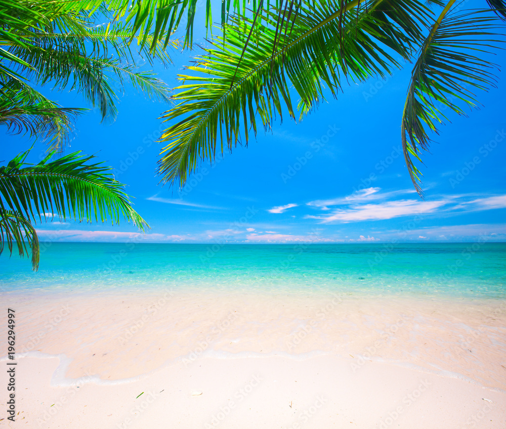 tropical beach with coconut palm