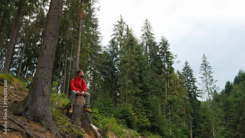 Bearded hiker sitting on a tree stump Bearded hiker sitting on a tree stump