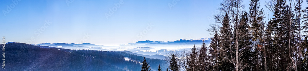 Morning fog. Winter snowy landscape in the Carpathian Mountains