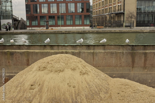 Cuadro en lienzo Tas de sable dans une barge avec oiseaux