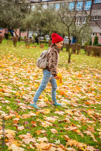 The girl child collects yellow leaves, walk in the autumn Park.