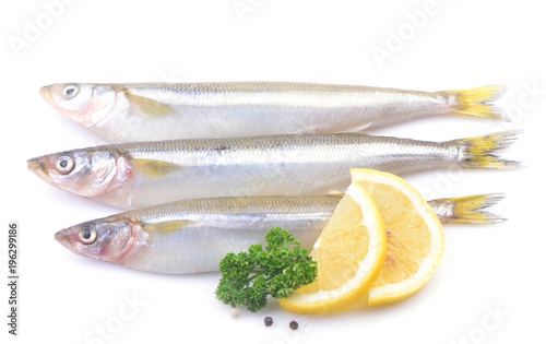 Smelt fish on white background