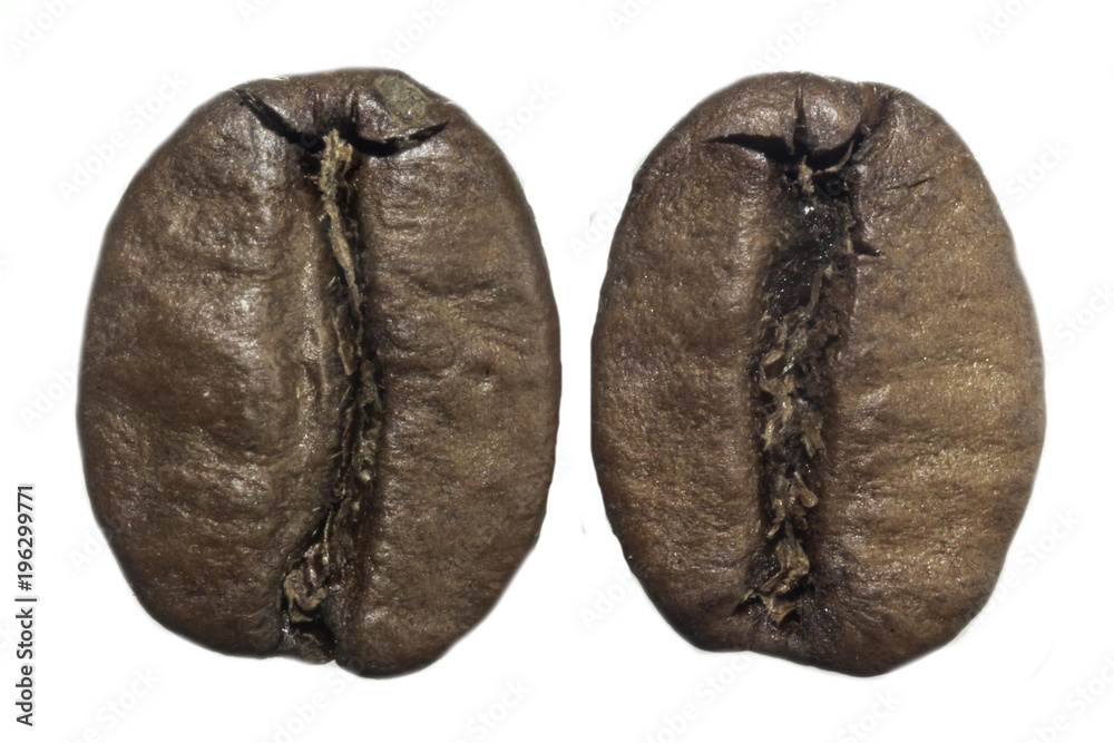 Naklejka premium Macro photo of two roasted coffee beans. Furrow in the middle. On a white background. Photo for the site about food, drinks, health, business.