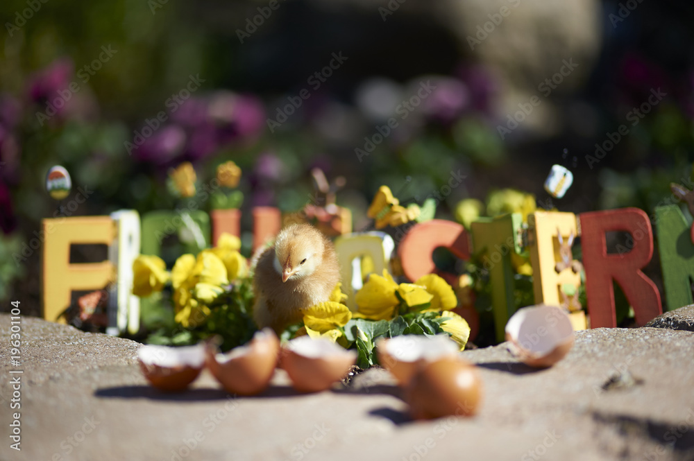 Ostern Ostern