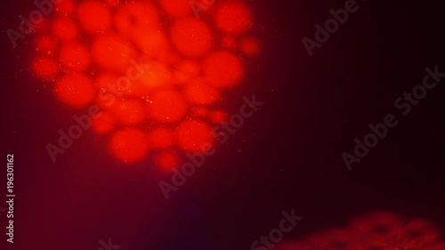 Light effects on a ceiling in modern night club, defocused background.