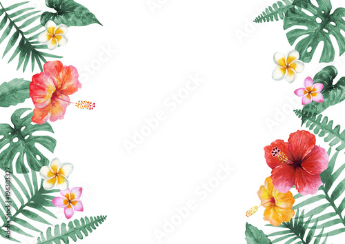 南国 ハワイ　植物フレーム　水彩 イラスト