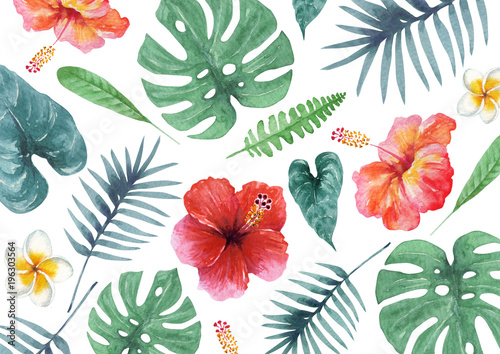 Tapety Tekstury roślin tropikalnych na Hawajach