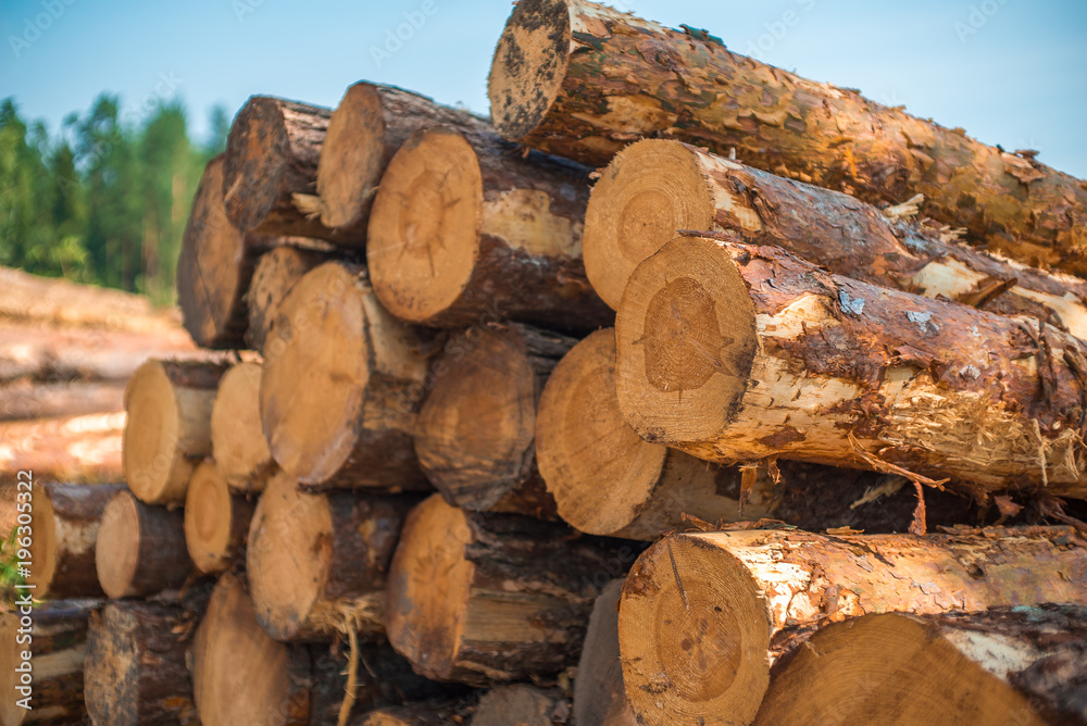 Stack of wood Stack of wood