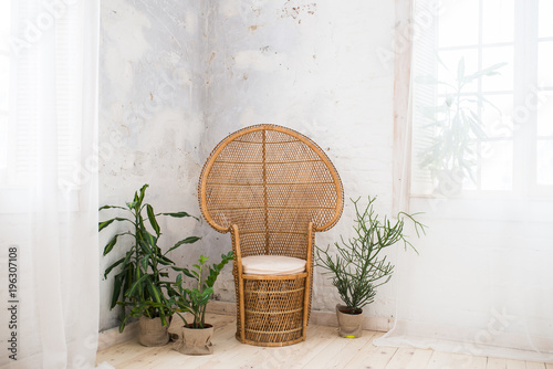 Wicker doll chair and a lot of greenery in the pot in the room with grey walls. Rattan chair and furniture on the wooden floor. Wicker chair.