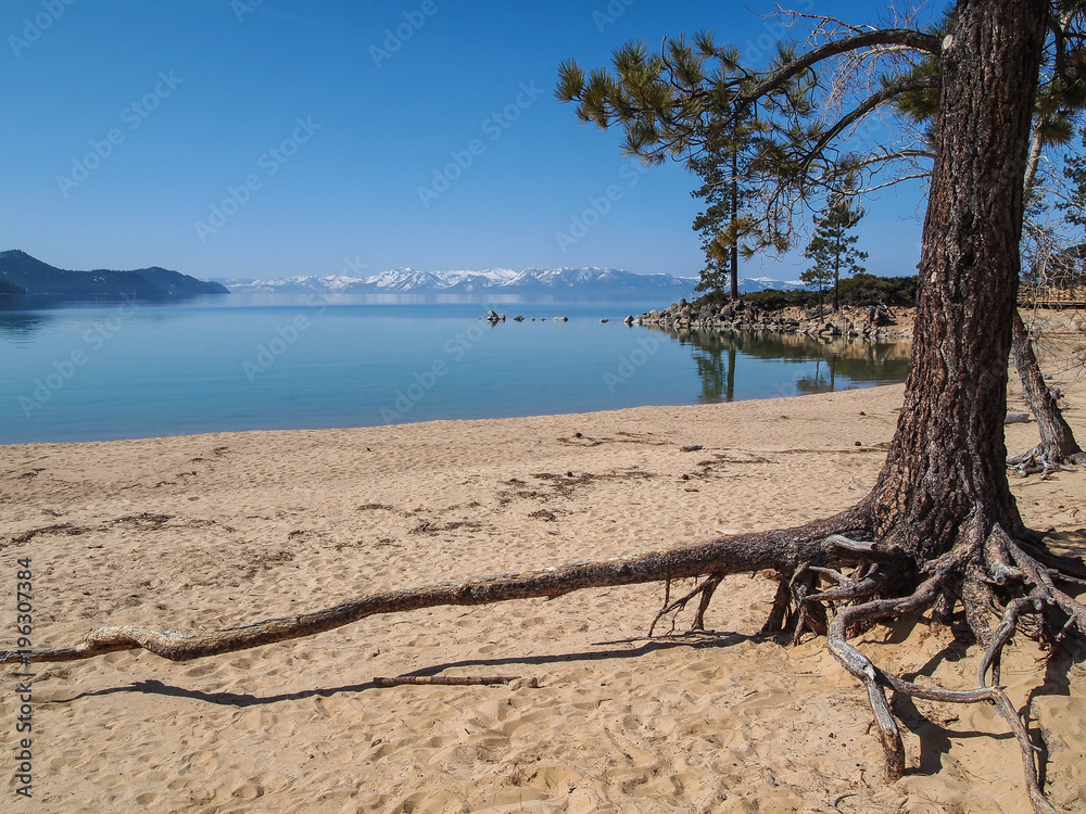 Landscape of Lake Tahoe