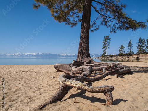 Landscape of Lake Tahoe