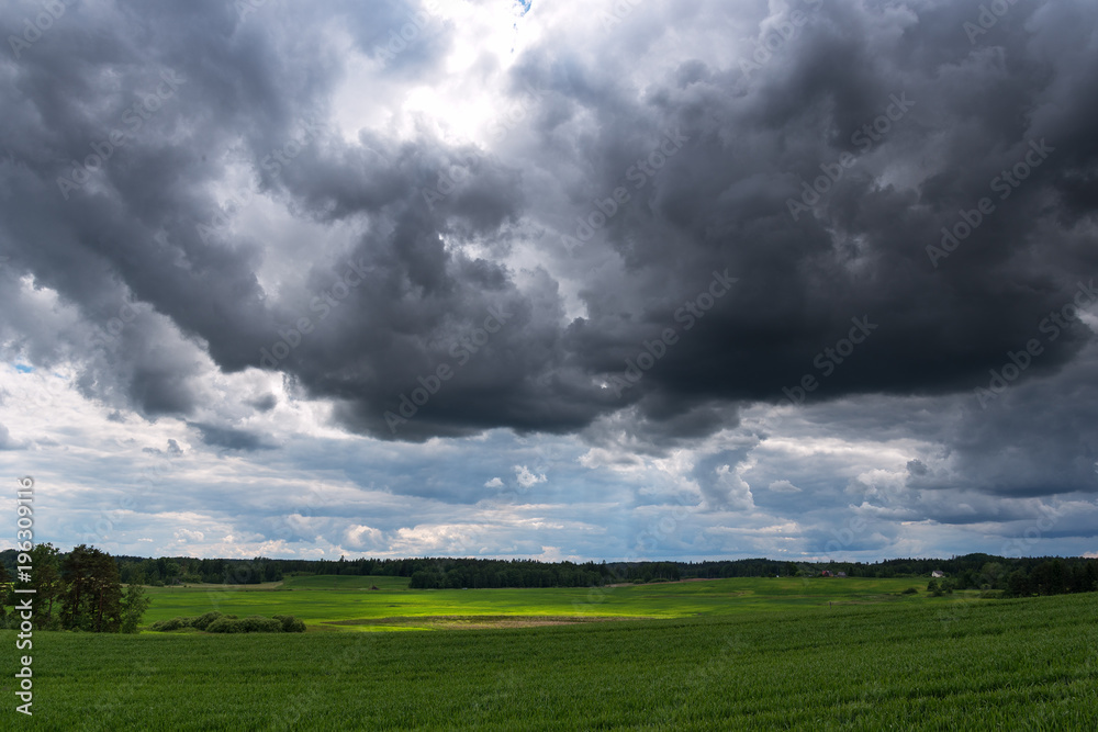Summer afternoon in countryside, Latvia. Summer afternoon in countryside, Latvia.