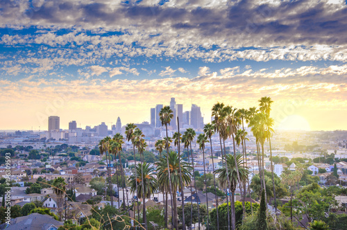 Fototapeta Piękny zmierzch Los Angeles w centrum linia horyzontu i drzewka palmowe w przedpolu