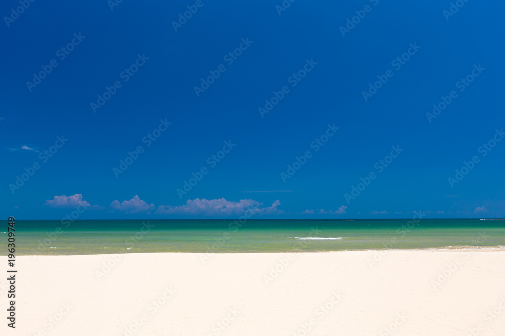 Fototapeta premium beach and tropical sea