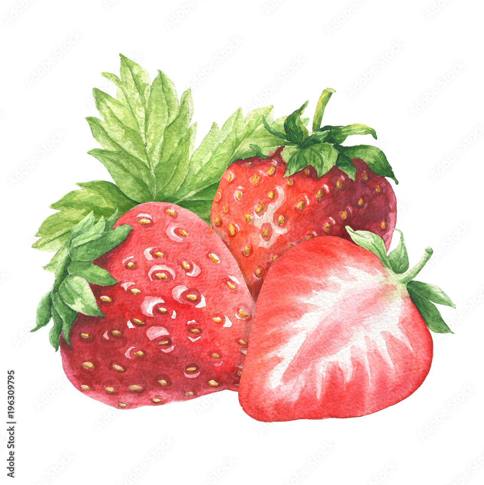 Hand drawn watercolor strawberry bunch with green leaves, delicious