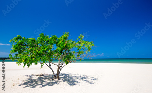 beach and tropical sea