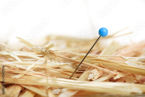 Obraz na plátne Closeup of a needle in haystack