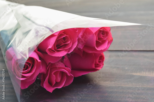 Pink rose