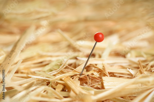 Closeup of a needle in haystack photo