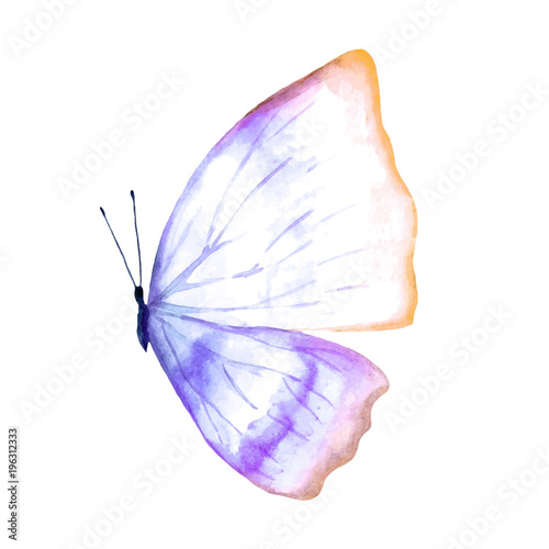 Illustration of a watercolor butterfly.