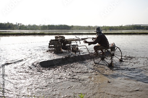 Farmer plowing the rice field for growing the rice photo