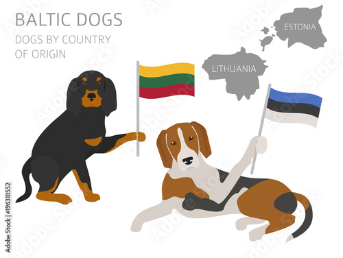 Dogs by country of origin. Baltic dog breeds. Infographic template