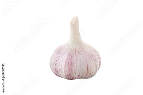 Fresh garlic head on white background isolated
