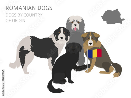 Dogs by country of origin. Romanian dog breeds. Infographic template