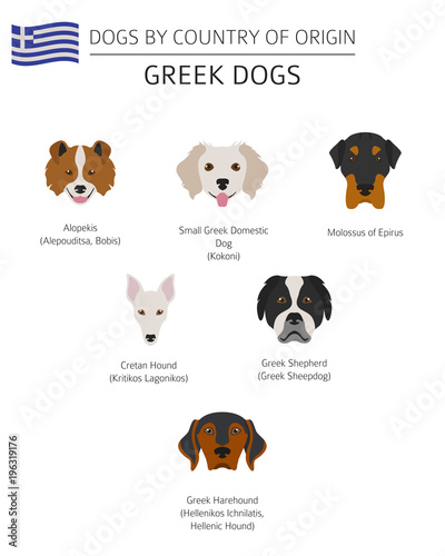 Dogs by country of origin. Greek dog breeds. Infographic template