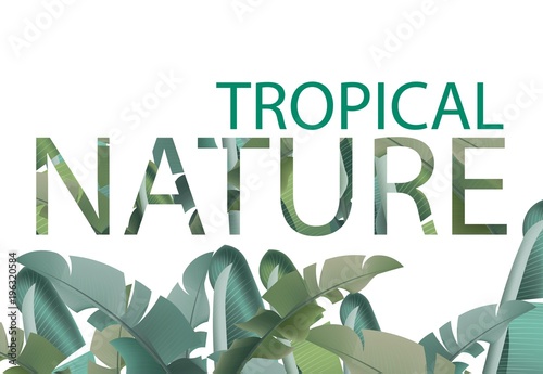 Tropical leaves vector card. Summer template design with palm natures
