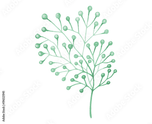 Watercolor drawn plant deocration on white background