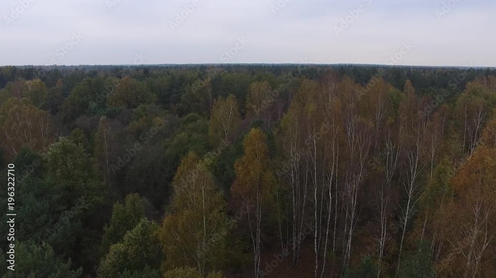 Aerial landscape of forest tree tops Aerial landscape of forest tree tops