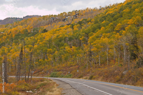 Beautiful autumn at Big Cottonwood Canyon Road near Salt Lake City in Utah in the USA  