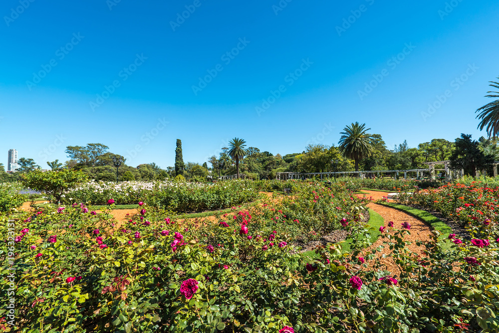 Palermo rose garden