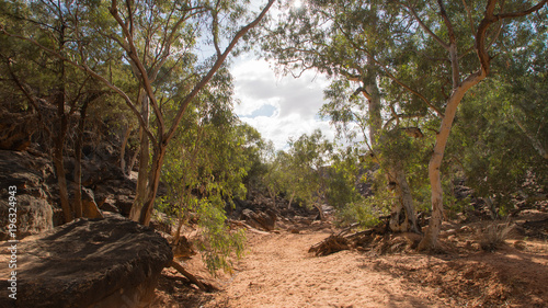 Homestead Gorge at Mutawintji National Park, NSW