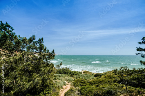 Fototapeta Naklejka Na Ścianę i Meble -  Landscape with Cliff and Dunes at the Beach near Albufeira Portugal in Summer