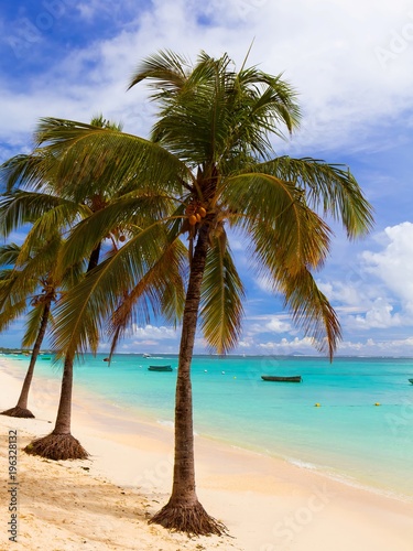 Fototapeta Naklejka Na Ścianę i Meble -  White sandy tropical beach with palm trees and blue lagoon on sunny day