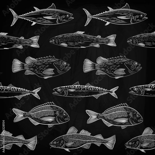 A set of popular sea fish swimming in a different direction. Tuna, cod, dorado, salmon, sea bass, mackerel. Sketch,drawing chalk on a blackboard , vector illustration
