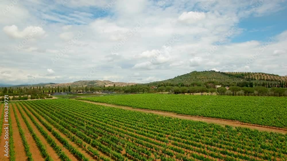 Aerial flight over the grape fields. Aerial view with background of blue sky and clouds in Tuscany, Italy Aerial flight over the grape fields. Aerial view with background of blue sky and clouds in Tuscany, Italy