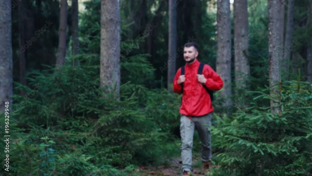 Close-up of hiker making his way in forest Close-up of hiker making his way in forest