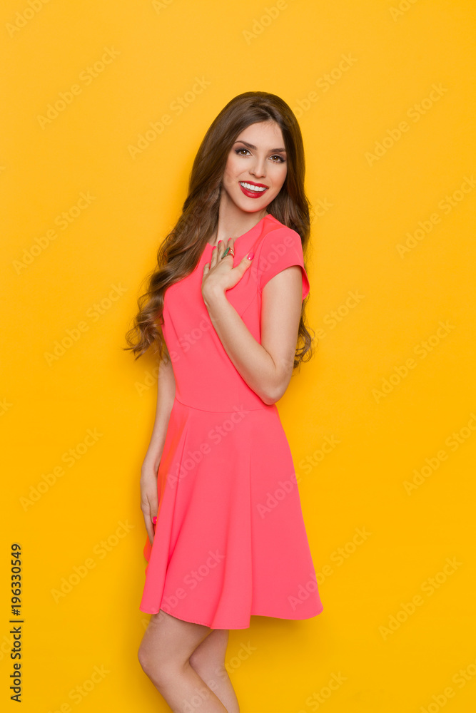 Smiling Beautiful Woman In Pink Mini Dress Is Looking At Camera Smiling Beautiful Woman In Pink Mini Dress Is Looking At Camera
